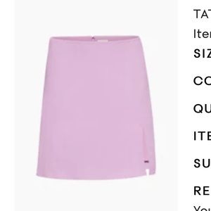 Aritzia Tatiana Sunday Best slit mini skirt